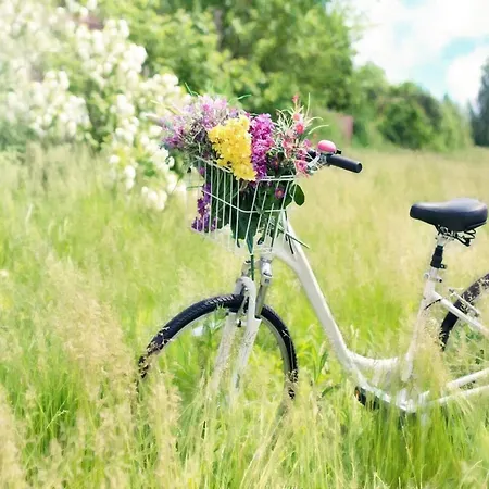 Comfy Near The Sea In Appartement Gąski